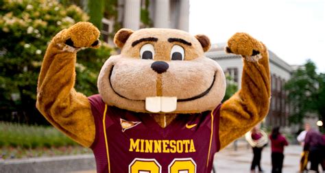 gophergold|university of minnesota gopher gold.